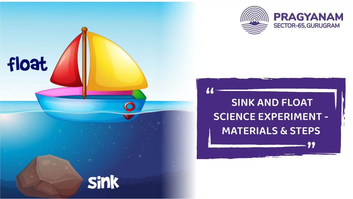 Sink and Float science experiment activity